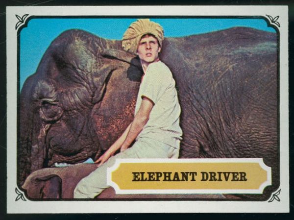 20 Elephant Driver